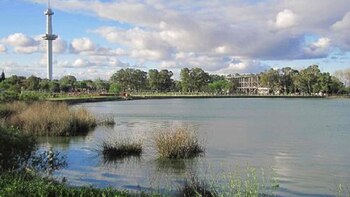 "Hay casos muy exitosos de