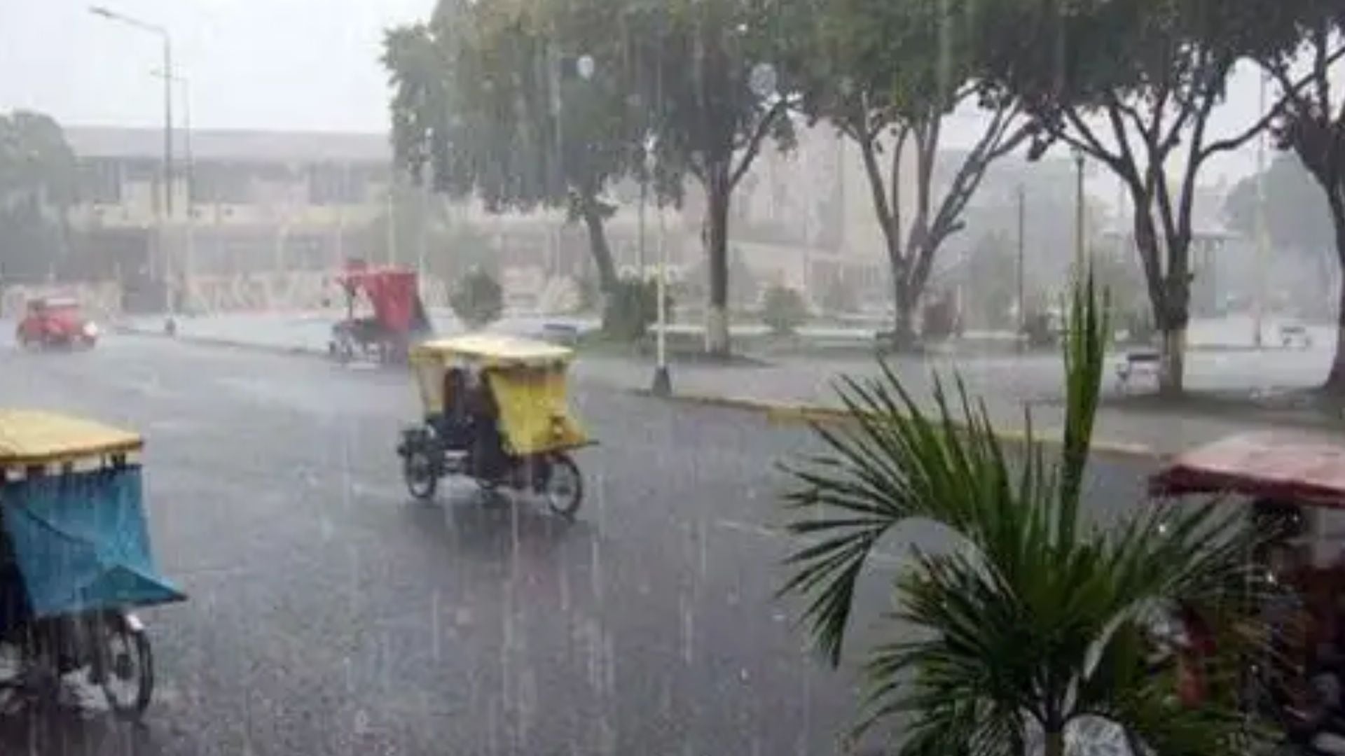 Se prevén acumulados pluviales de hasta 55 mm/día en la selva central y sur, lo que incrementa el riesgo de inundaciones y desbordes - Créditos: Andina.