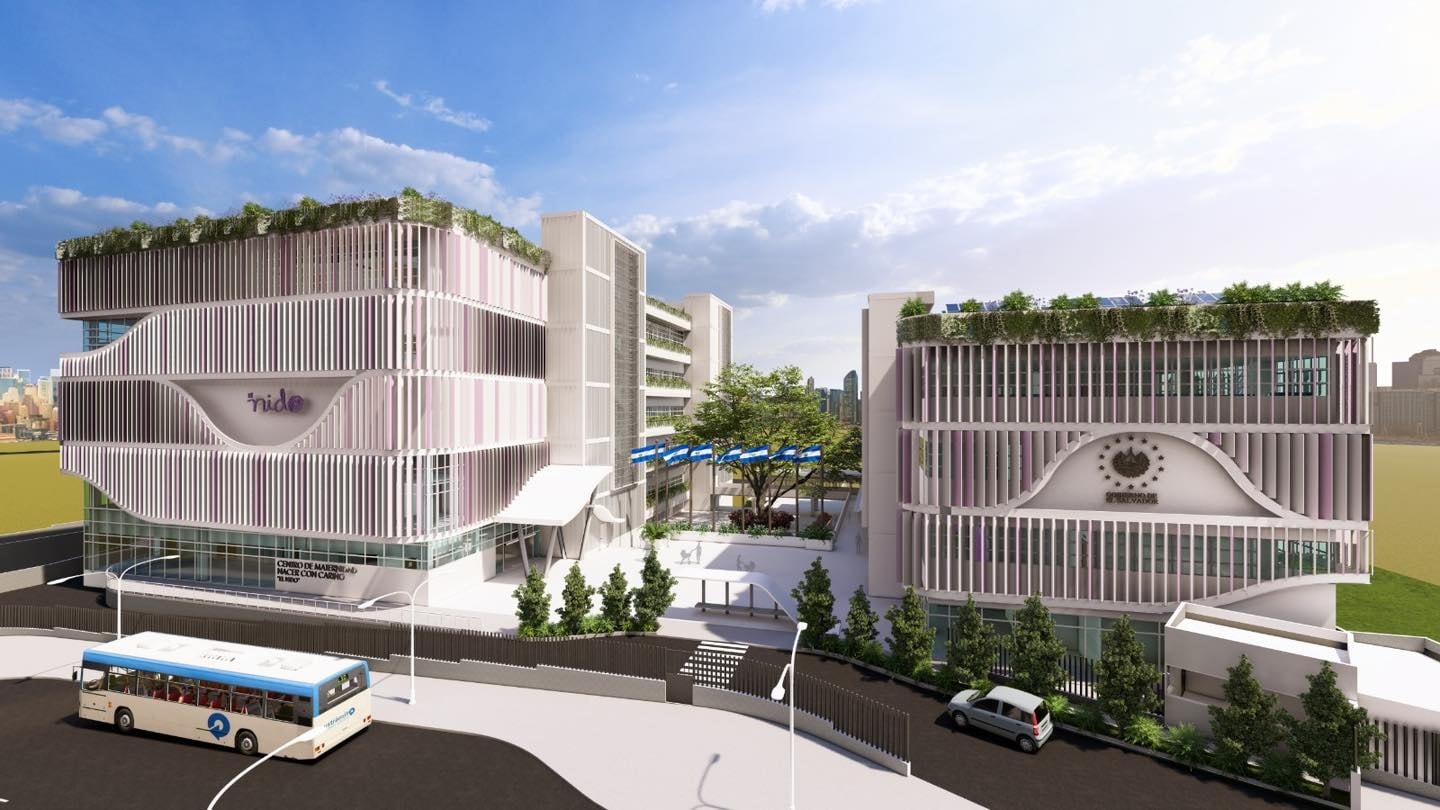 Las futuras madres contarán con opciones como partos de pie, en cama o en cuclillas, junto a la inclusión de enfermeras doulas, formación prenatal y atención psicológica, promoviendo una experiencia de parto personalizada (Foto cortesía diputada Suecy Callejas)