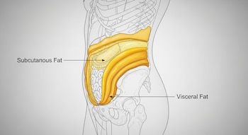 El estrés crónico mantiene elevados