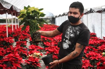 Ciudad de México 13 de