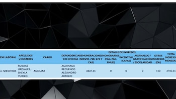 EsSalud contrató por más de S/ 64 mil a hermana de la pareja del congresista Alejandro Aguinaga. Foto: captura La pista clave