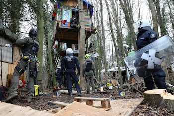 En el municipio de Patti, la propuesta contempla una dedicación de 20 horas semanales en tareas. REUTERS/Christian Mang