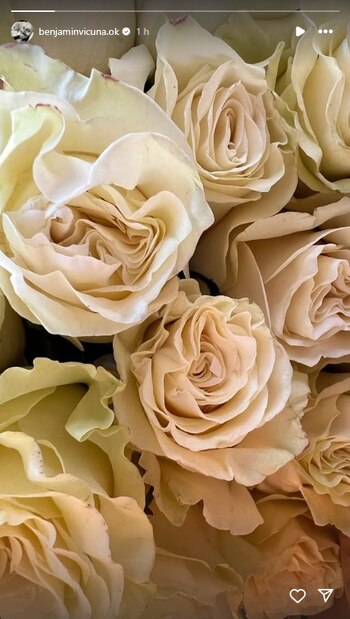 El posteo de Vicuña tras