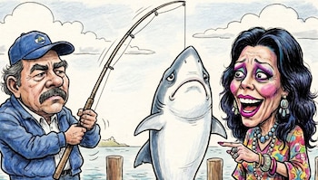 Nicaragua exportó más de 39,000 kilos de aletas de tiburón entre 2018 y 2024, contradiciendo la versión del régimen Ortega-Murillo, que atribuye estas exportaciones a captura incidental. (Imagen Ilustrativa de Infobae)