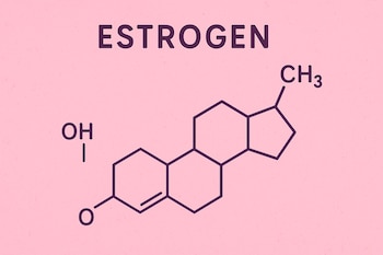 El exceso de estrógeno aumenta
