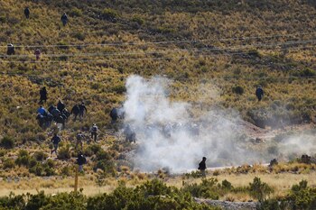 Seguidores de Evo Morales y