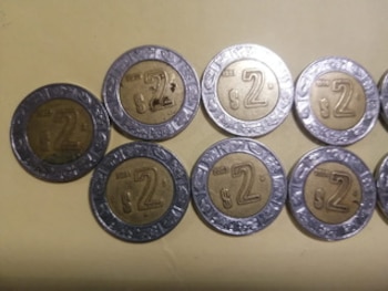 El modelo sigue siendo totalmente