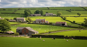 Vista aérea de un paisaje rural verde con colinas, casas, graneros, setos y rebaños de ovejas blancas y negras dispersas. Un tractor se ve a lo lejos.