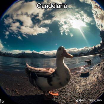 (TikTok/@neutrino_san)