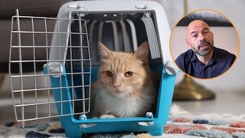 Alfredo Molina, veterinario: “Viajar con