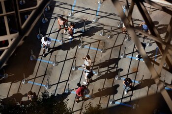 Con el mismo objetivo, la