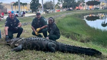 Autoridades del LCSO acudieron a
