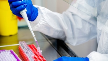 IMSS llevará terapia con 70% de efectividad contra cáncer y complicaciones de trasplante a cinco hospitales de alta especialidad