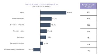 Por rubro, los bienes importados