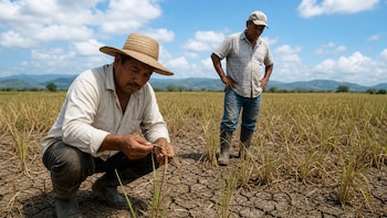 Organizaciones alertan que el retorno de migrantes deportados agrava la crisis rural en el Corredor Seco centroamericano