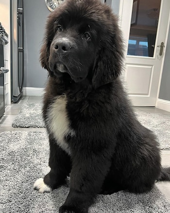 Una de las primeras fotos