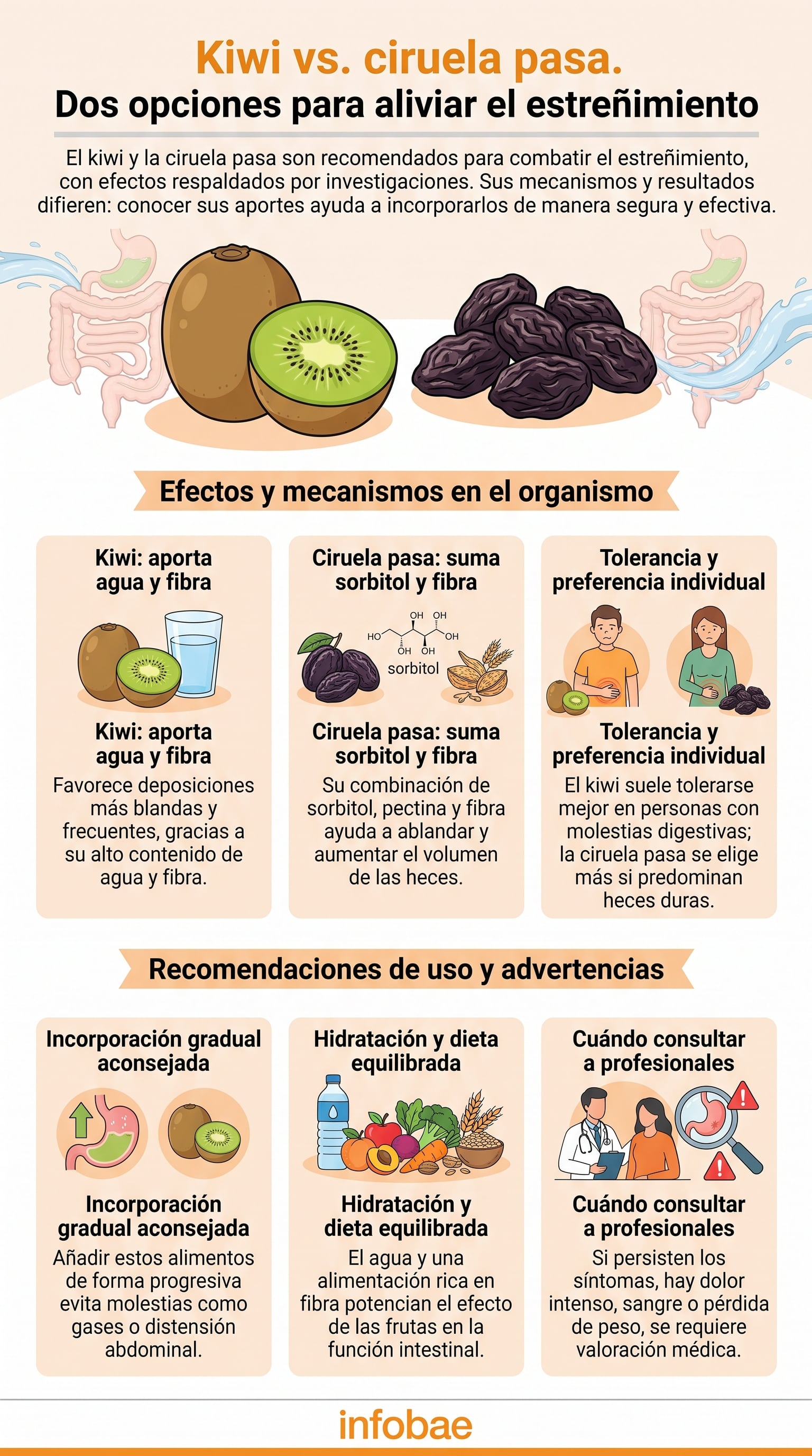 Las investigaciones no establecen una ventaja definitiva entre el kiwi y la ciruela pasa. (Imagen Ilustrativa Infobae)