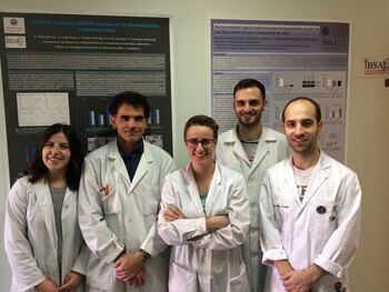 Investigadores demuestran una nueva estrategia terapéutica contra la leucemia mieloide aguda 1 STP3D4FAHBDRPOH7LRR7YIDOYU
