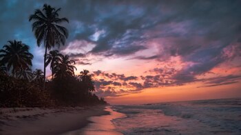 Perfecta para diciembre: esta es