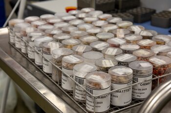 Algunas de las últimas muestras