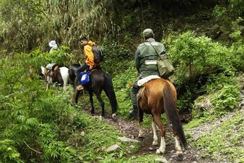 Sobre el lomo de las