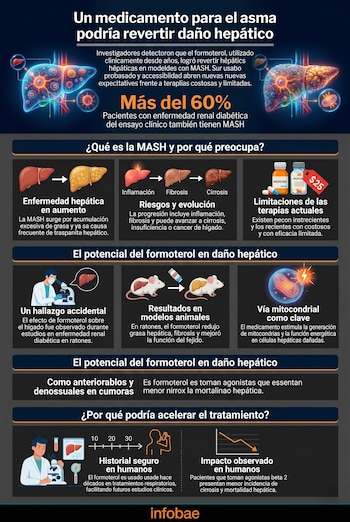 Infografía con ilustraciones del hígado en varias etapas de daño, células, ratones y pastillas, explicando el potencial de un fármaco para el daño hepático