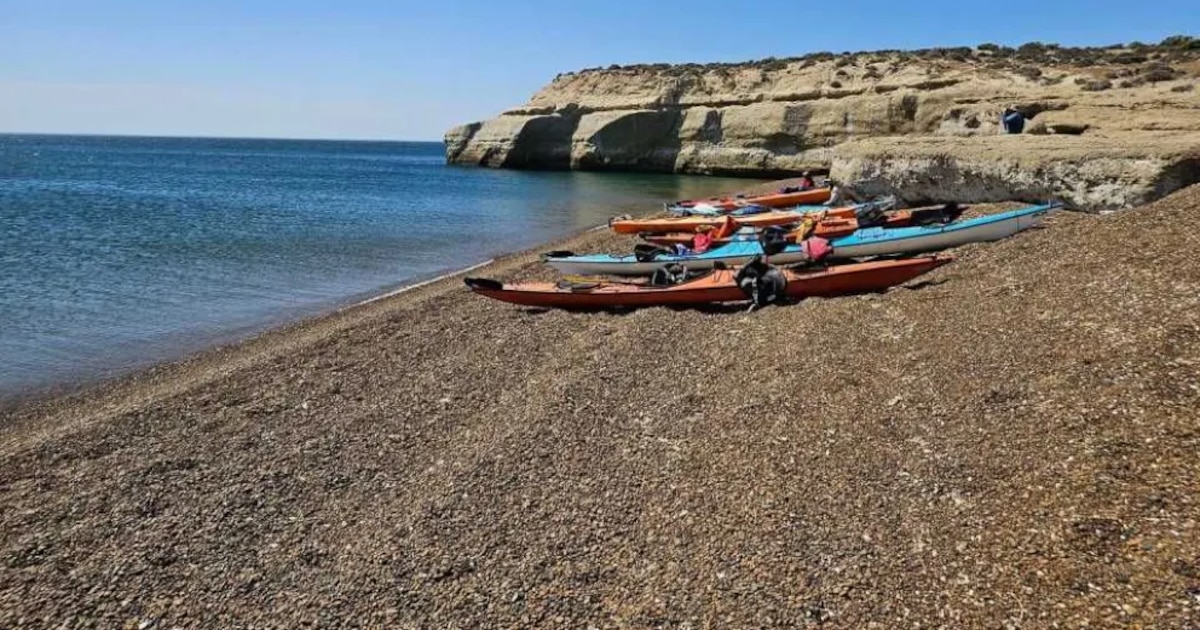 SU2YN6UEAREMDMCGOCQSH2QDLQ