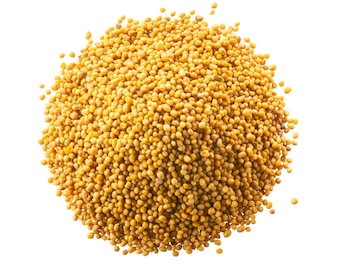 Las semillas de mostaza, con