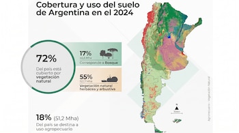 Infografía con mapa de Argentina, gráficos de porcentajes de uso y cobertura del suelo (vegetación natural, bosque, agropecuario), escala y brújula.
