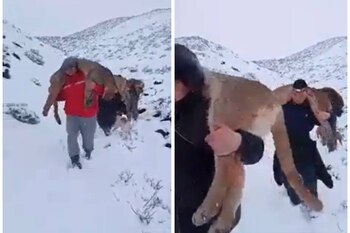 Captura de video viralizado en