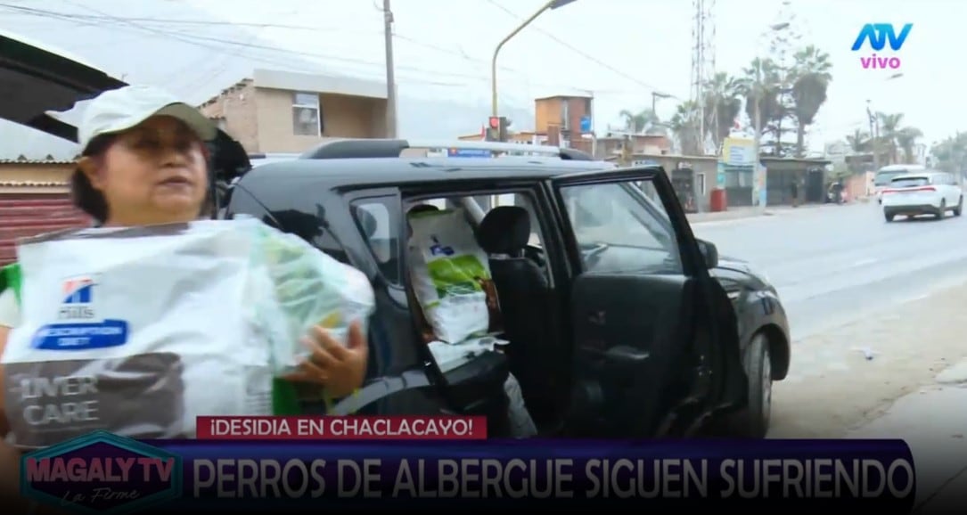 Magaly Medina pide ayuda para animales de albergue y ASPPA llega con alimentos y medicamentos. Captura: Magaly TV La Firme.