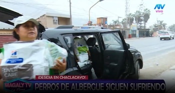 Magaly Medina pide ayuda para animales de albergue y ASPPA llega con alimentos y medicamentos. Captura: Magaly TV La Firme.