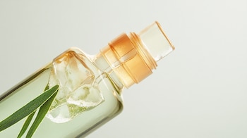 Esta planta con tantas propiedades