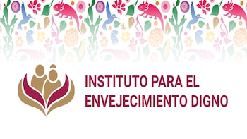 INED: ¿Qué es y qué