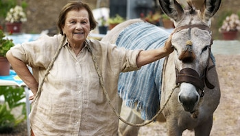 Día Mundial del Burro – burro – Perú – noticias – 8 mayo