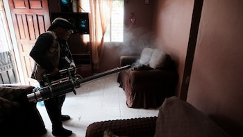 Dengue cobra su primera víctima mortal de 2026 en Honduras: joven de 22 años fallece por cuadro grave