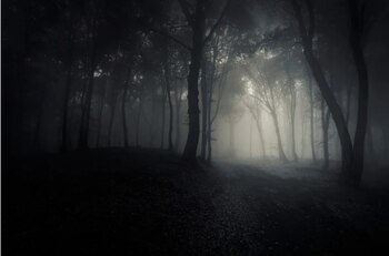 Árbol maldito en Alto del