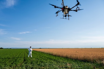 “La tecnología vino a corregir errores y a mejorar la productividad”, explica Silvio (Foto: Shutterstock)