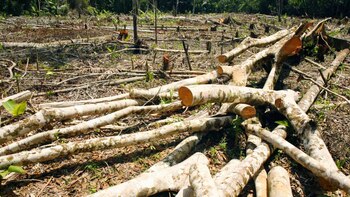 El bajo presupuesto asignado a