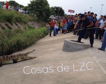 (Facebook / Cosas de Lázarocardenenses)