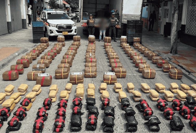 Casi una tonelada de marihuana fue incautada en El Guamo, Tolima - crédito Policía Tolima