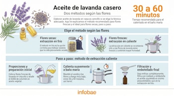 Infografía ilustra dos métodos para hacer aceite de lavanda casero: uno con flores secas en un frasco y otro con flores frescas en una olla, incluyendo el baño maría.