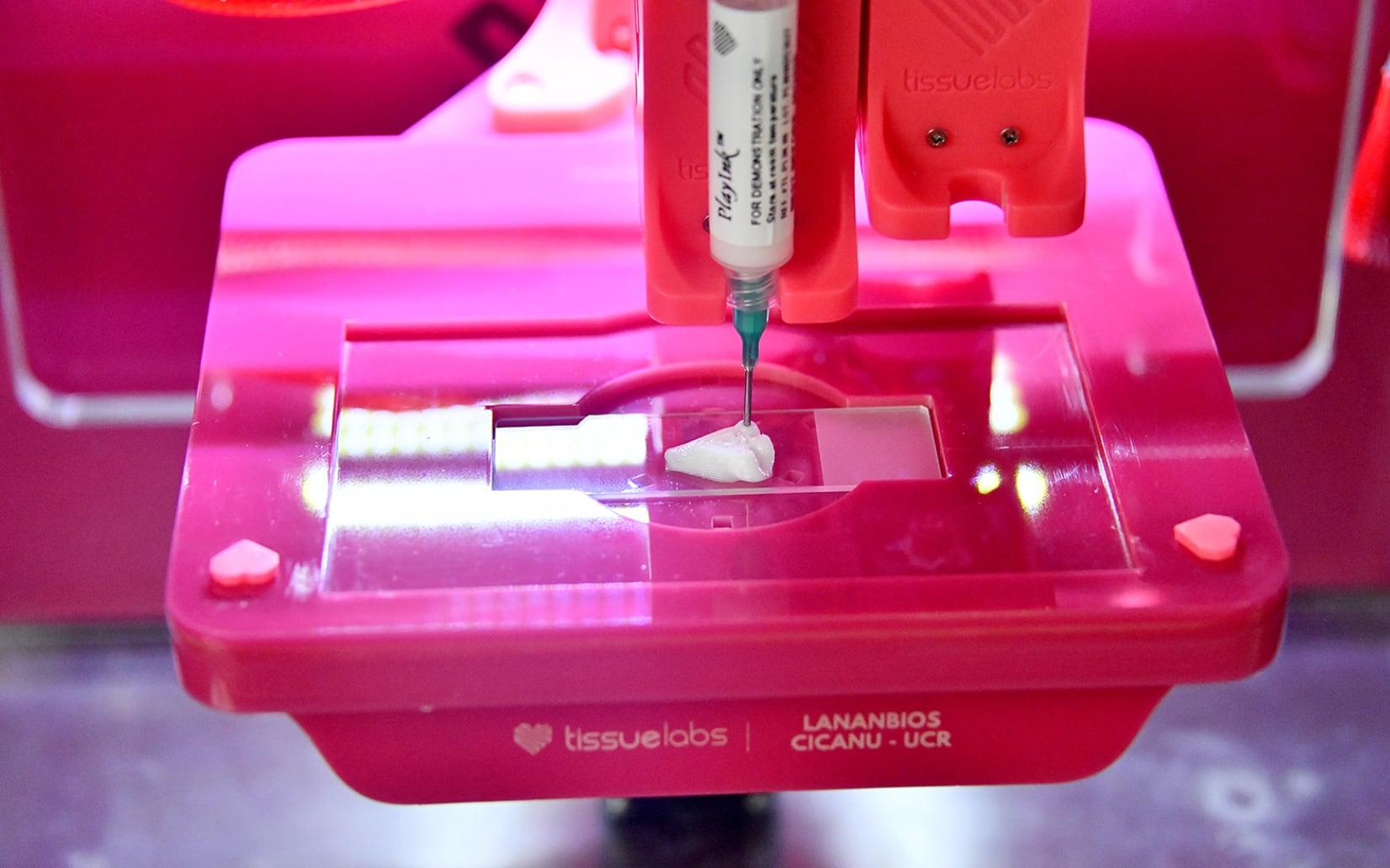 El Laboratorio de Nanobiosistemas (Lanambios) adquirió en noviembre de 2025 una bioimpresora de la marca Tissuelabs, destinada al desarrollo de modelos biológicos y nuevas aplicaciones biomédicas. Crédito: UCR