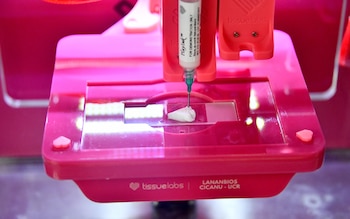 El Laboratorio de Nanobiosistemas (Lanambios) adquirió en noviembre de 2025 una bioimpresora de la marca Tissuelabs, destinada al desarrollo de modelos biológicos y nuevas aplicaciones biomédicas. Crédito: UCR