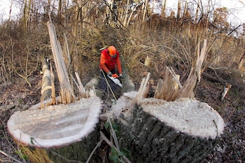 La Subdirección de Recursos Naturales