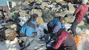 Conmoción en El Chaltén: una turista francesa murió tras una avalancha en el Cerro Crestón