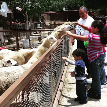 (Foto: Instagram/antoniosalas81)