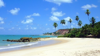 Brasil se convirtió en un