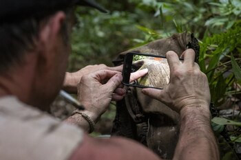 Restos encontrados muestran la pintura